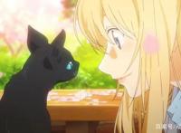 动漫文案｜《四月是你的谎言》没有你的四月，要来了。