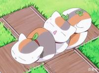 夏目友人帐：夏目还是高中生，可猫咪老师变肥了