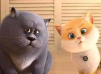 猫与桃花源：六句台词展现不一样的教育，令人深思