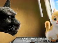 猫与桃花源：六句台词展现不一样的教育，令人深思