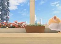 《猫与桃花源》的动画和绑定难在哪儿？追光两位总监来告诉你