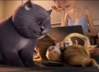 解读《猫与桃花源》，我们心中都有桃花源，敢闯敢拼才能抵达终点