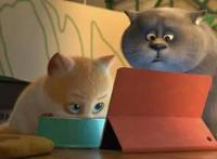 《猫与桃花源》：精良的动画，用技术赋能