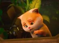 看了《猫与桃花源》只想说，厉害了我的国产动画