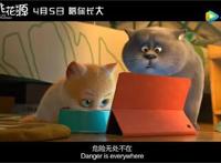 国产动画再添力作，《猫与桃花源》4月5日全国吸猫！