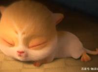 国产动画电影《猫与桃花源》，如何评价？