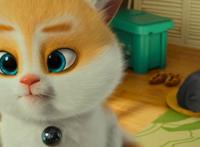 动漫影评丨《猫与桃花源》向往的生活就在心中，探索就会有收获