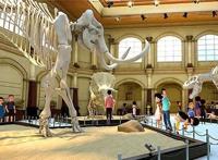 新大头儿子和小头爸爸3：一家三口在白夜城中，打怪恐龙，不省心