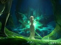 一部动漫《精灵王座》你看过吗？