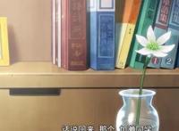 牵牛花与加濑同学，正是因为喜欢你，所以一切都和你有关！