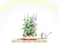 《牵牛花与加濑同学》杂谈向影评