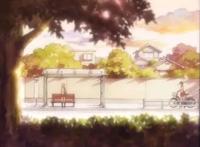 《牵牛花与加濑同学》杂谈向影评