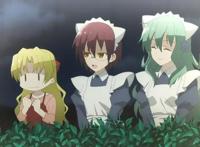 《总之就是非常可爱》：男主和女主闪婚的原因出现了