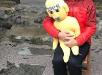 老罗新综艺《尹stay》依旧是熟悉的治愈配方，还是那么好看