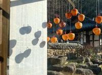 《尹STAY》第一集就出现罗PD是否过分的争议