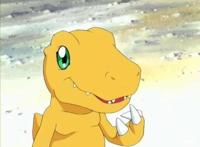 数码宝贝：第一部8只数码宝贝各是怎样的性格？迪路兽又萌又成熟