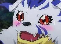 数码宝贝：第一部8只数码宝贝各是怎样的性格？迪路兽又萌又成熟