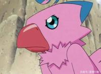 数码宝贝：第一部8只数码宝贝各是怎样的性格？迪路兽又萌又成熟