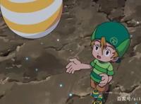 数码宝贝新番：神圣数码兽的谜团解开，阿武和嘉尔上线