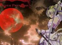 盘点动漫中那些帅气的女骑士！