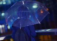 《DARLINGintheFRANXX》莓，清秀靓丽的可爱少女！