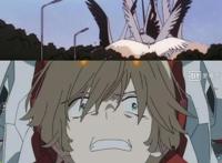 「DARLINGintheFRANXX」论国家队中满满的既视感