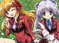 动漫：看过这些后宫番，现实中开后宫指日可待！