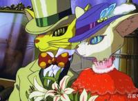 为什么宫崎骏电影大都有猫？侧耳倾听和猫的报恩里的猫是同一只吗