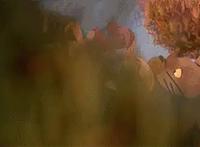 新番《你想活出怎样的人生》提前1年上映，宫崎骏：我已向死而生