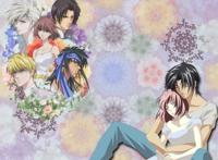 闲聊路人女主，后宫不是随便开的！后宫人数也有理论支持？