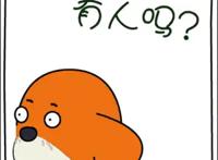 动漫推荐第四波女后宫动漫｜随便一个都是老公的模样！