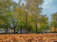 乒乓英豪之回忆似水年华