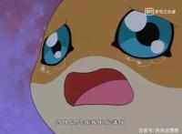 《数码宝贝》重开播：原来它不仅仅是一部动画片，还是一部成长片
