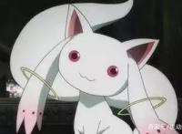 这部童话一样的治愈系动漫，却让虚渊玄都感受过绝望