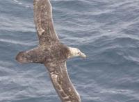 三十位动漫人物经典台词，句句体现了人物的灵魂