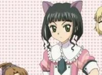 细数《爱丽丝学园》哪个是你的本命女神