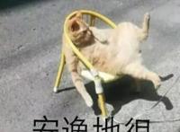 贴吧上演年度大戏，奥特曼粉丝卧底艾斯吧五年最终成功“篡位”