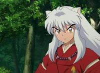 动漫中四位挺惨的动漫男主角，诚哥犬夜叉上榜