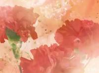 名美美术教育：一位成功艺术家的背后都有一位怎样的母亲？