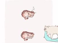 漫画：五条猫和小虎崽子，咒术回战猫系漫画，白猫养萌虎