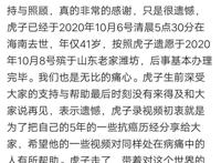 B站up主“虎子”复活？外网账号发布大量视频，其实另有隐情