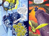 DC反英雄罗伯的前世今生