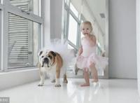 三岁左右小孩子教育动漫排名以及最好不要让孩子看的动画排名