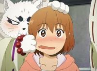 高贵魅惑的代表，盘点二次元中可爱迷人的银狐们！