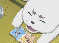 盘点动漫中六只人气超高的宠物，最后一只却很少有女孩子敢养