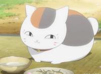 动漫中那些为猫痴狂的“猫奴”，没有什么是一只猫不能解决的！