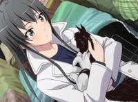 动漫中那些为猫痴狂的“猫奴”，没有什么是一只猫不能解决的！