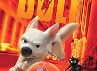 谈谈我与狗狗的365天｜萌狗动画推荐