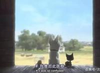 谈谈我与狗狗的365天｜萌狗动画推荐