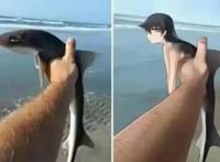 如果将宠物改成动画人物，而它成宅男吉祥物，萌翻网友！